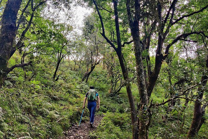 Kaflani Day Hike - Mussoorie - Trail lengths (2.5 to 6 km) and why it still feels like an adventure