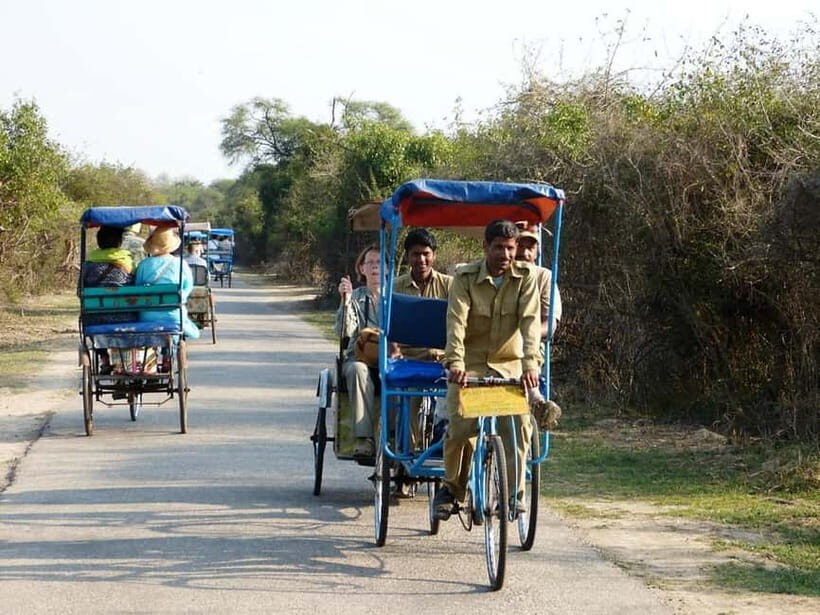 Keoladeo National Park Tickets and Guided Tour - E-Ticket Entry That Gets You Moving Fast