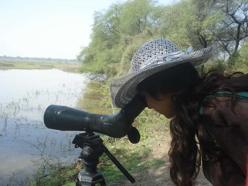 Keoladeo National Park Tickets and Guided Tour - Choose Your Pace: Rickshaw Tour or Independent Time
