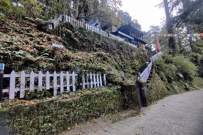Landour Figure of Eight Walk - Key highlights you should care about