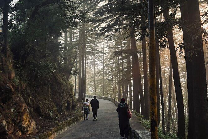Landour Figure of Eight Walk - Stop 2: Lal Tibba Scenic Point for the view, plus a café option