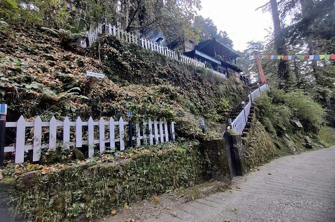 Landour Figure of Eight Walk - Price and value: what $11.32 really covers in a 2-hour morning