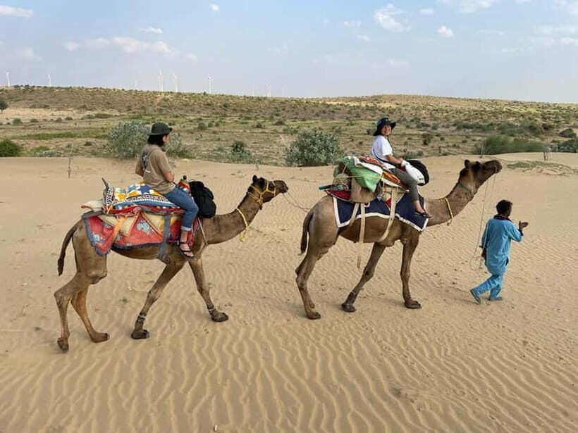 Little Prince Camel Safari with Overnight - Who This Trip Suits Best (And Who Might Want to Skip)