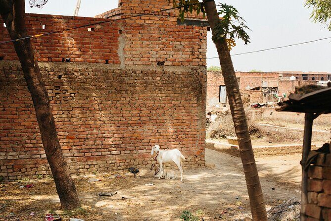 Live a round experience in Varanasi. 3 Days Tour - Who this tour suits best (and who may want to rethink it)