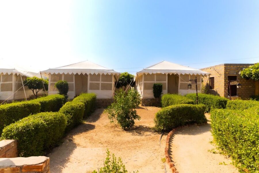 Luxury tent, dinner, breakfast, camel ride in thar desert - Quick booking decision: should you go?