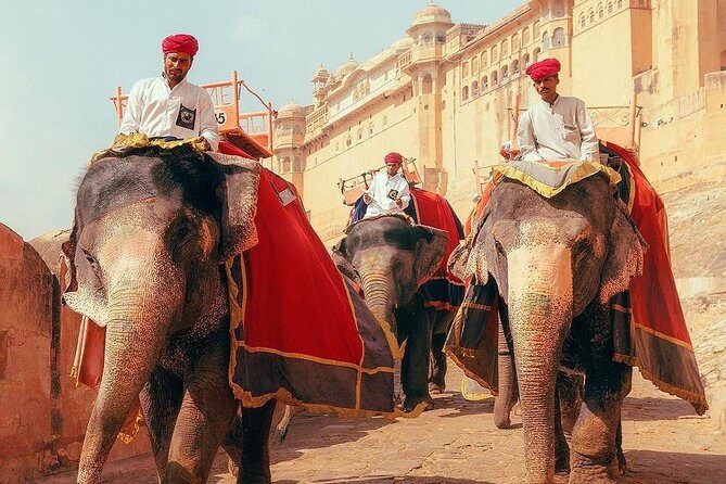 Majestic Golden Triangle With Varanasi - Red Fort, Jama Masjid, Chandni Chowk: Old Delhi’s high-voltage morning
