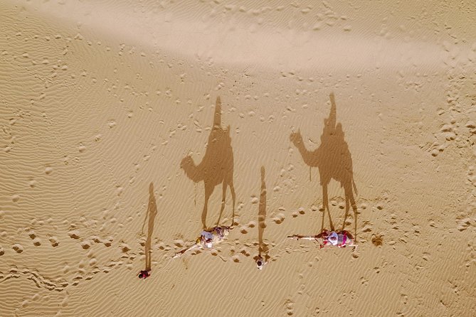 Million Stars Experience - Desert Camp & Stargazing in Jaisalmer - Key Things to Know Before You Go