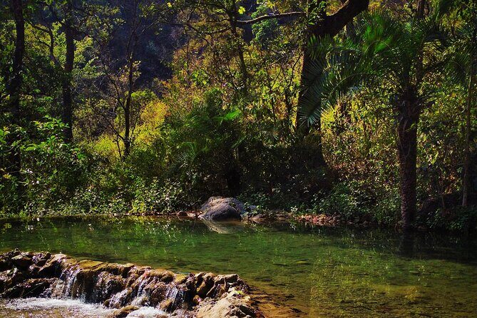 Moderate Himalayan Treks Near Rishikesh From Delhi - Key highlights