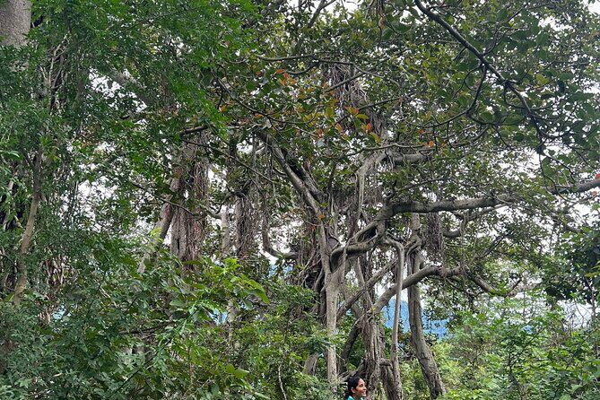 Moderate Himalayan Treks Near Rishikesh From Delhi - The support team: why guidance matters in these foothill treks