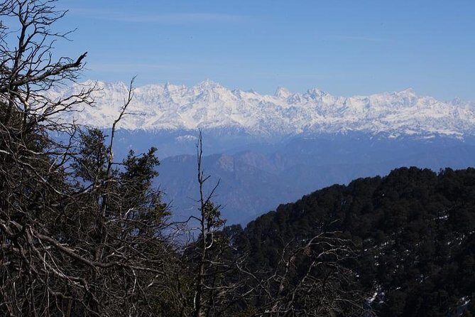 Naag Tibba Trek - Trek safety, pace, and the guide team you’ll rely on