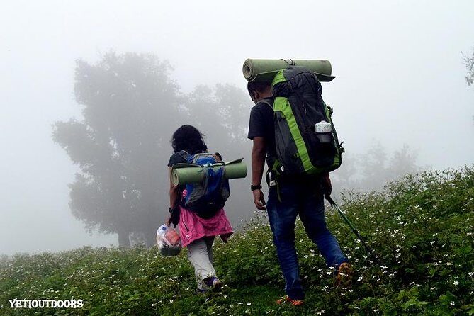 Naag Tibba Trek - Day 2: Early climb to Nag Tibba summit and back by lunch