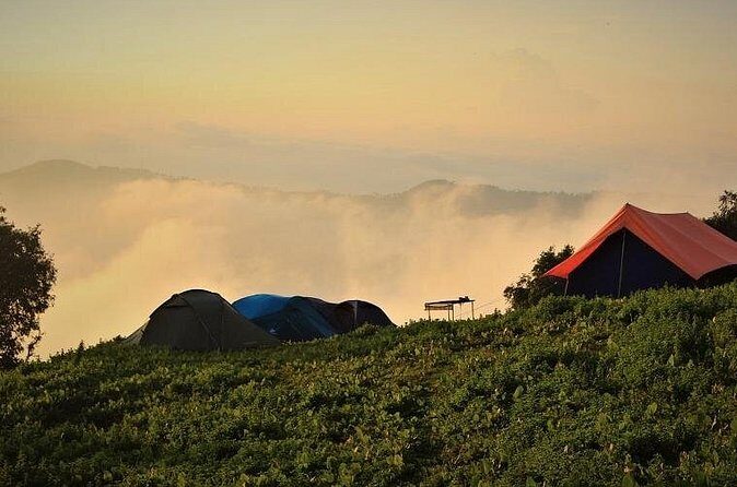Nag Tibba 2 Days Trek (Pantwari to Pantwari) - Day 2 Summit Push: Nag Tibba Peak and the View Toward Swargarohini