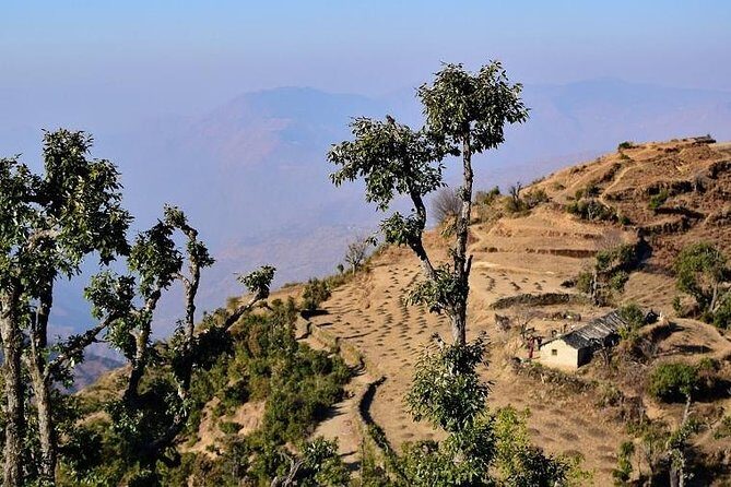 Nag Tibba 2 Days Trek (Pantwari to Pantwari) - Pace, Fitness, and the Real Meaning of Moderate