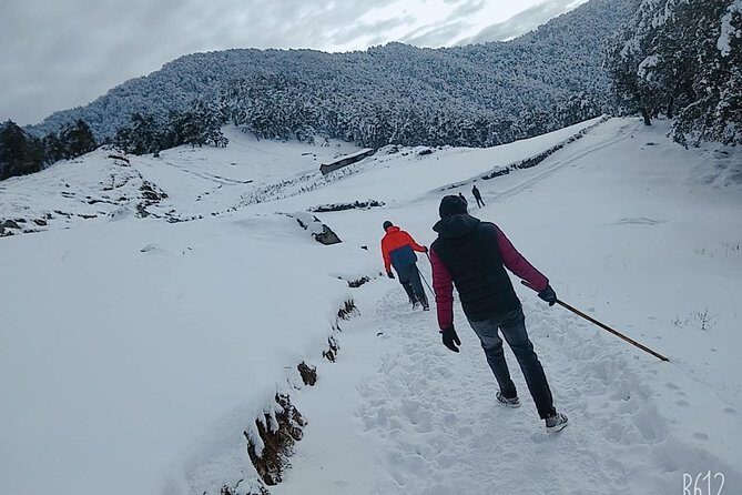 Nagtibba Trek (Dehradun to Dehradun) - Dehradun to Pantwari: what the journey adds (and what it costs your energy)