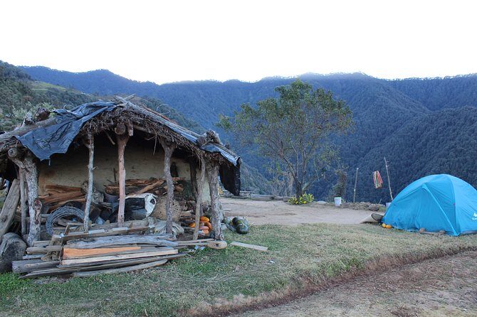 Nagtibba Trek (Dehradun to Dehradun) - Price and value: does $113.48 make sense for this kind of trek?