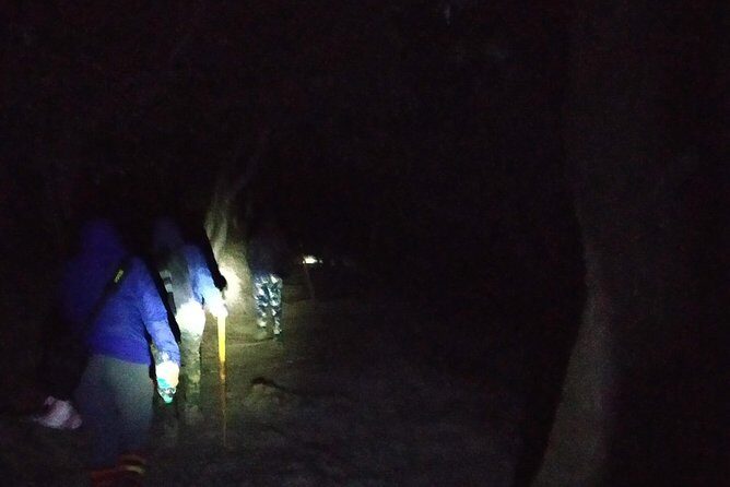 Nagtibba Trek (Pantwari to Pantwari) - Nagtibba Trek: why Nag Tibba works so well for a first trek