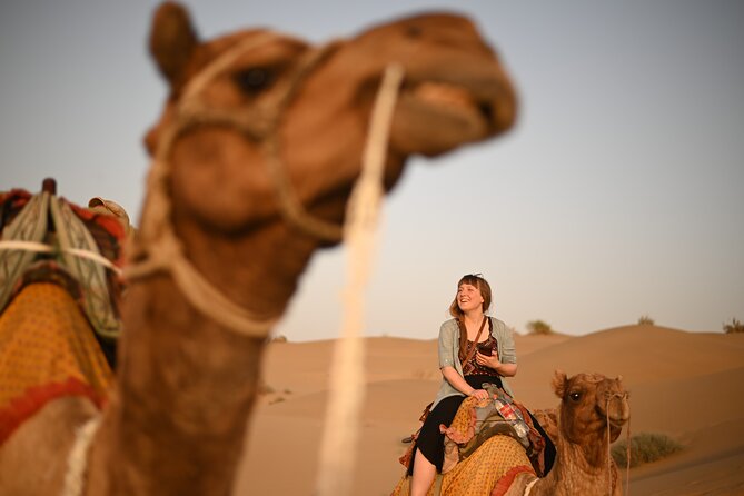 Non-Touristic Overnight Camel Safari with Stargazing Hidden Tour In Desert - Sunset and Campfire Dinner: Comfort, Then Stars