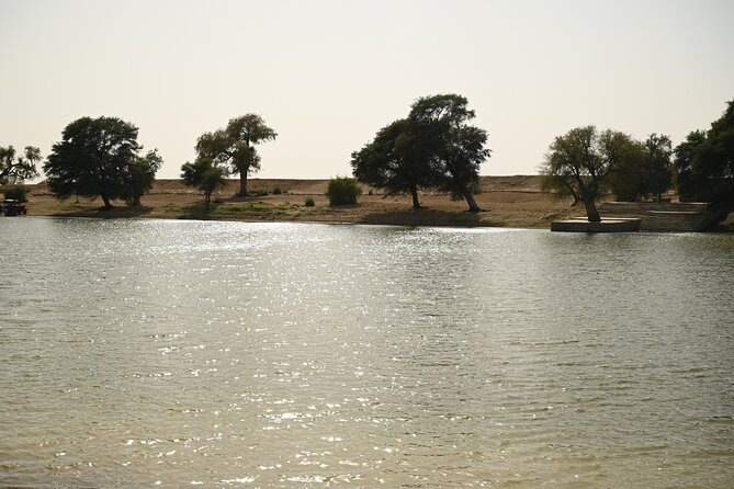 Non-Touristic Overnight Camel Safari with Stargazing Hidden Tour In Desert - Food, Tea, and Snacks: The Included Meal Plan That Actually Matters