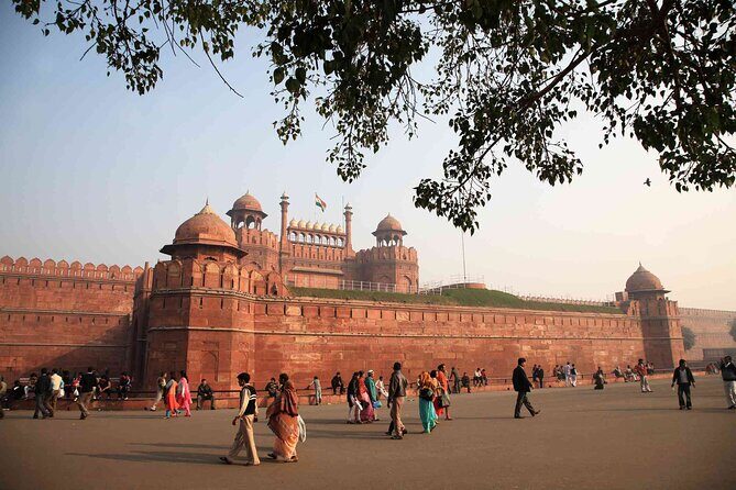 Old & New Delhi Private Tour - Half or Full Day (TOP RATED) - Pickup That Actually Works: Hotels, Airports, and Train Stations