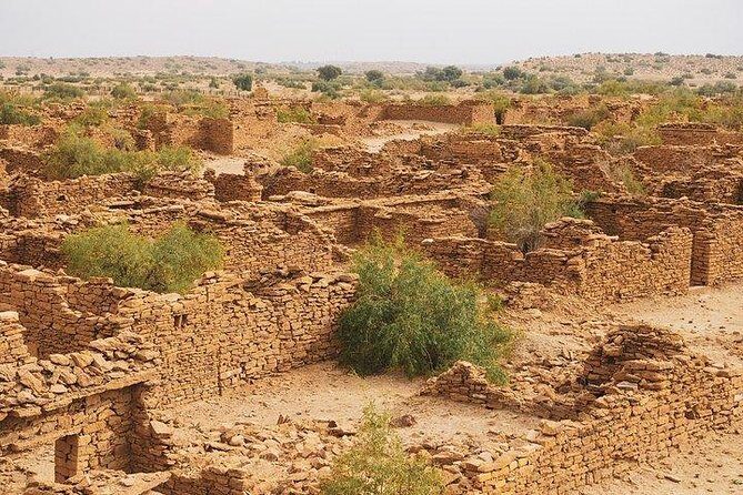 One Night One Day Desert Safari Tour - Key things you should know before you go