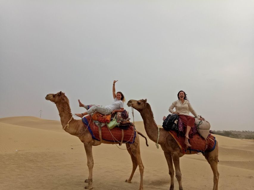 Overnight Adventure Safari by Wonbin Safari - Should you book Wonbin Safari’s Overnight Adventure Safari?