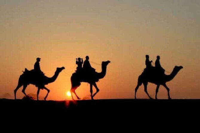Overnight Camel Safari - Key things to know before you go