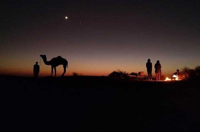 Overnight Camel Safari - The One-and-a-Half-Hour Camel Ride and Sunset Over the Dunes