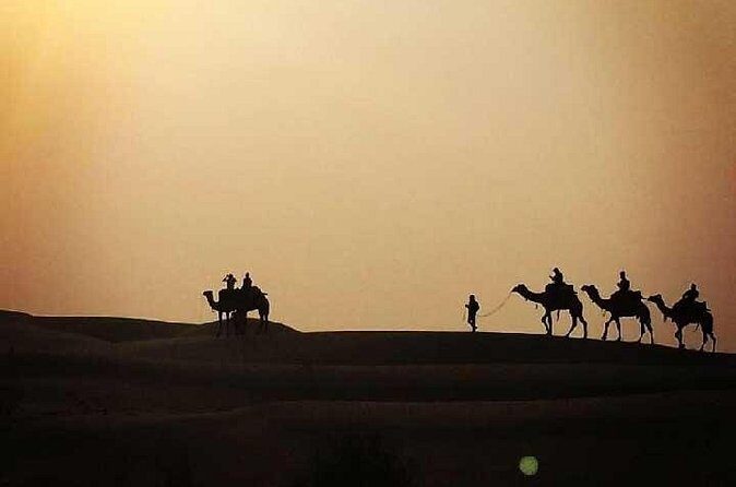 Overnight Camel Safari - Morning on the dunes: breakfast, another ride, then back to Jaisalmer