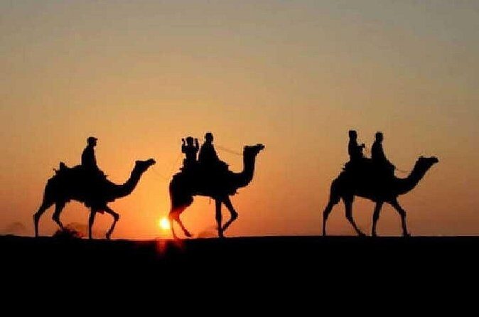 Overnight Camel Safari - Price and value: is $34 really enough?