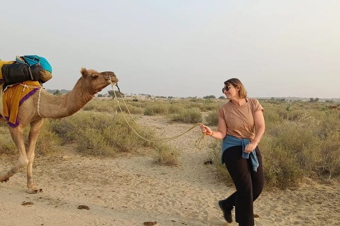Overnight Camel Safari Tour - Key Highlights (What Makes This One Work)