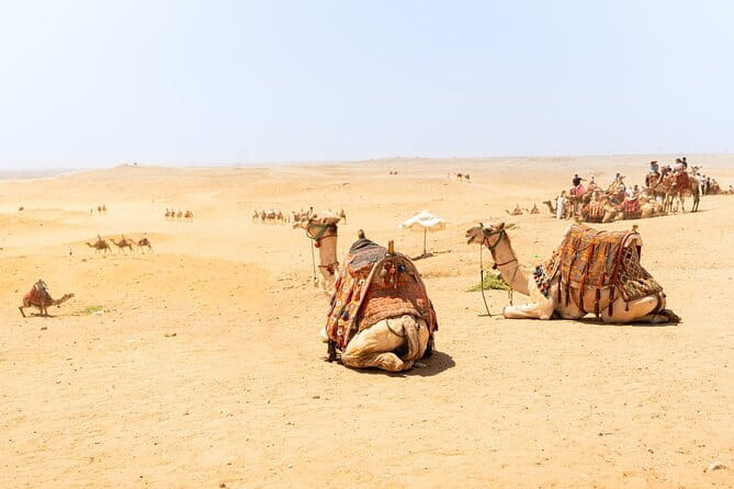 Overnight Camel Safari Tour - Day 2 Morning: Sunrise Camel Ride and Breakfast Timing