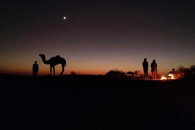 Overnight Camel Safari - The Desert Stops Before the Camel Ride: village ruins and a natural pond