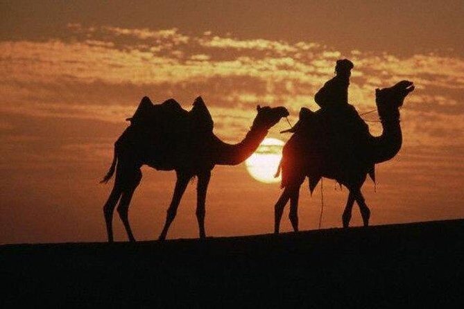 Overnight Camping With Camel Safari In Jaisalmer - The Jaisalmer Fort start: timing, views, and a free ticket detail