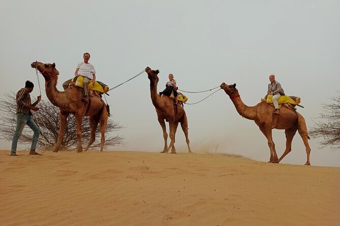 Overnight Desert Stay with Camel Safari and Homemade Food - OM - Wood-fired Rajasthani dinner: what you actually eat in the desert