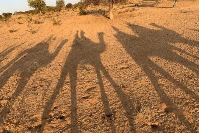 Overnight Stay In Swiss Tent With Camel Safari & Folk Dance - Osian Stop: Independent Time Before the Desert Portion