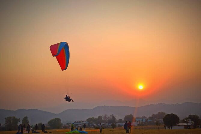 Palampur and Bir Tour, Tea Gardens, Adventures and Paragliding - Key Things I’d Book This For