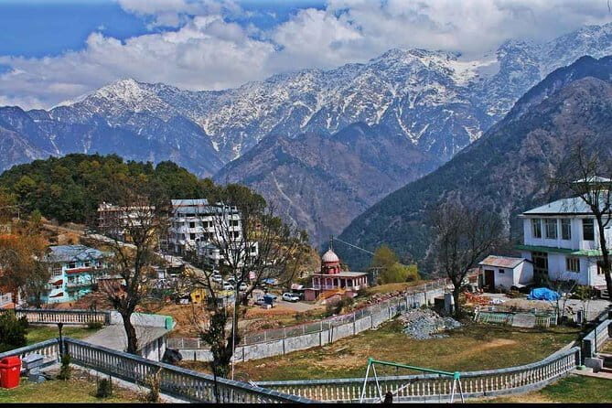 Palampur and Bir Tour, Tea Gardens, Adventures and Paragliding - Price and Value Check: Why $43.06 Can Make Sense