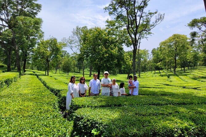 Palampur Tea Garden Tour - Key things that make this tour worth your time