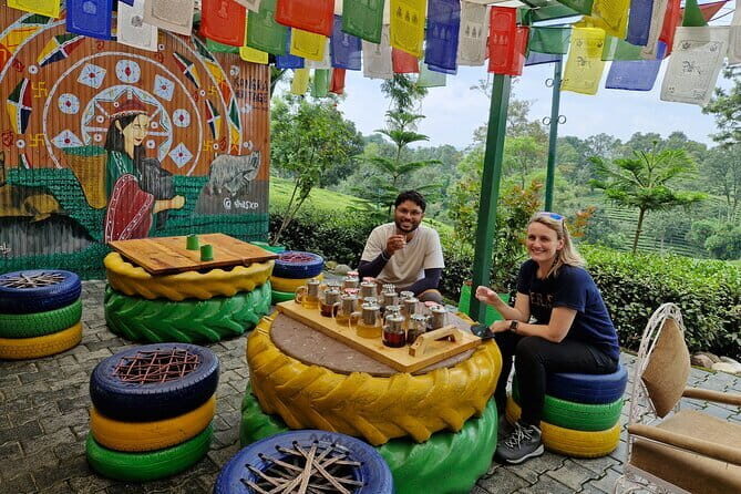Palampur Tea Garden Tour - Who should book this Palampur tea day trip