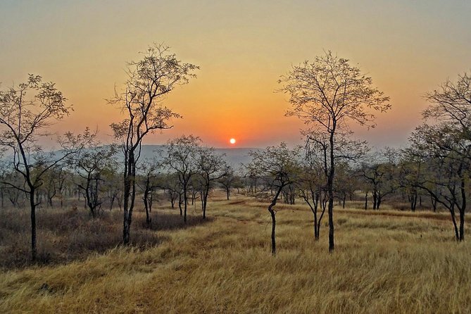 Panna Tiger Reserve Tour from Khajuraho - Best for who: wildlife first-timers and families who still want fun