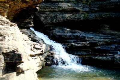 Panna Tiger Reserve Tour from Khajuraho - Getting to the reserve: chauffeur pickup and shared-jeep safari