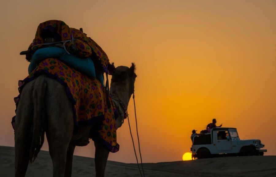 Peeps Billions of Star Experience with Desert & Camel Safari - Guide and group feel: Marvin’s team matters