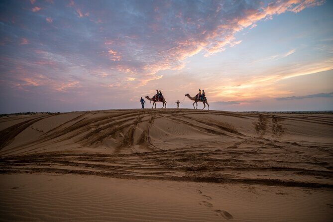 Peep's Billions of Stars Experience with Desert & Camel Safari - Sleeping Under Billions of Stars: What You’re Really Buying
