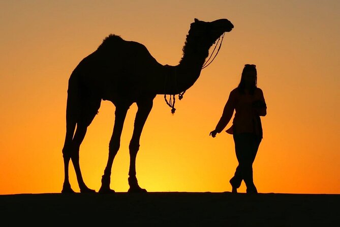 Pleasant Sunset Safari With Dinner On Dunes (From 2:00 PM to Approx. 10:00 PM) - Key Things I’d Book For