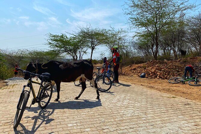 Premium Delhi Aravalli Organic Cycle Tour - A glimpse of Real and Rural India - Meeting at Qutub Minar at 7 AM: what your morning needs