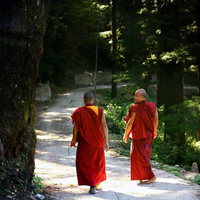 Private 2-Days McLeodGanj & Dharamshala Guided Tour - Why McLeodganj and Dharamshala work so well in 2 days