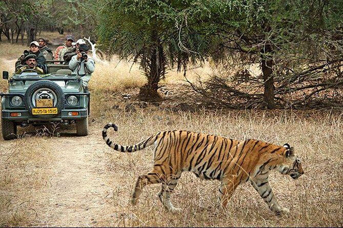 Private 3-Day Ranthambhore Tiger Tour from Agra ending in Jaipur - Sunrise Taj Mahal at 6:00 am: the part you’ll remember