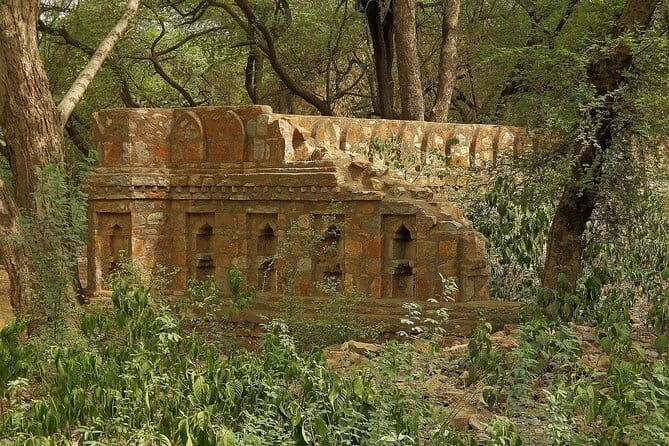 Private 4-Day Tiger Safari & Golden Triangle Tour from Delhi - Day 3: The Ranthambore Safari Morning and the Jaipur Switch