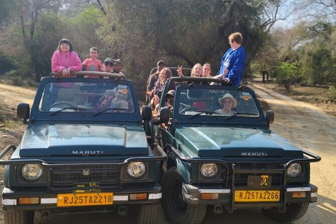 Private 4-Day Tiger Safari & Golden Triangle Tour from Delhi - Day 4 in Jaipur: Amber Fort, City Palace, and Hawa Mahal Photos