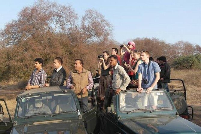 Private 4-Day Wildlife & Taj Mahal Tour from Jaipur to Delhi - Day 2: Keoladeo Ghana bird sanctuary and then Agra’s Mughal side trips